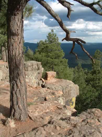 A view from the Mogollon Rim